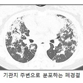 이미지 전체보기